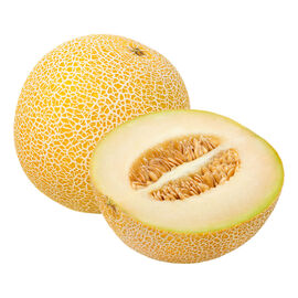 Melon Galia