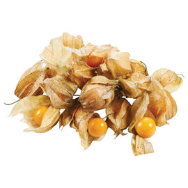 Physalis 100 g