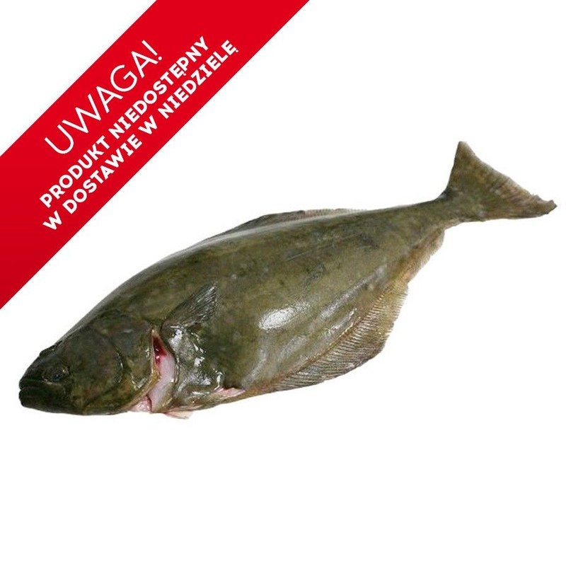 Ryba Halibut tusza Mój targ ryb na wagę ok. 500 g