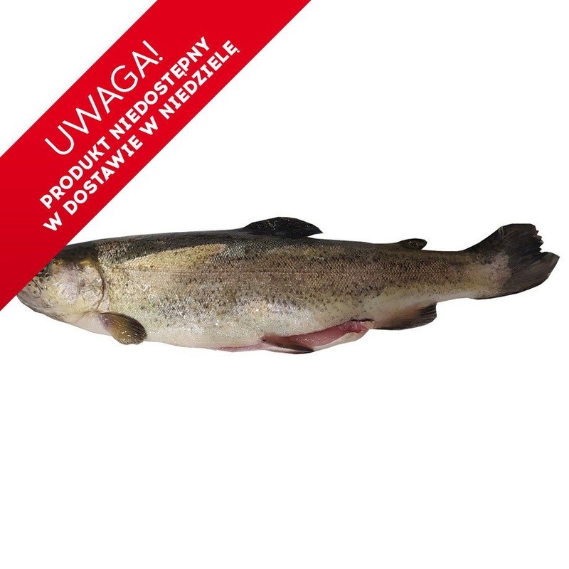Ryba Pstrąg patroszony  Mój targ ryb na wagę ok. 500 g