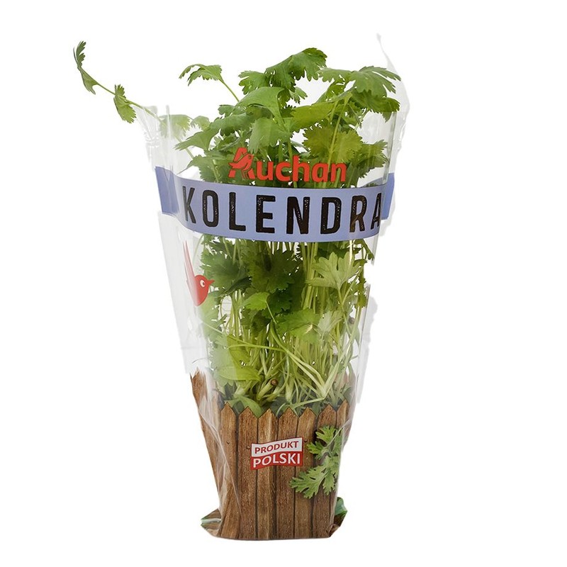 Kolendra Auchan sztuka