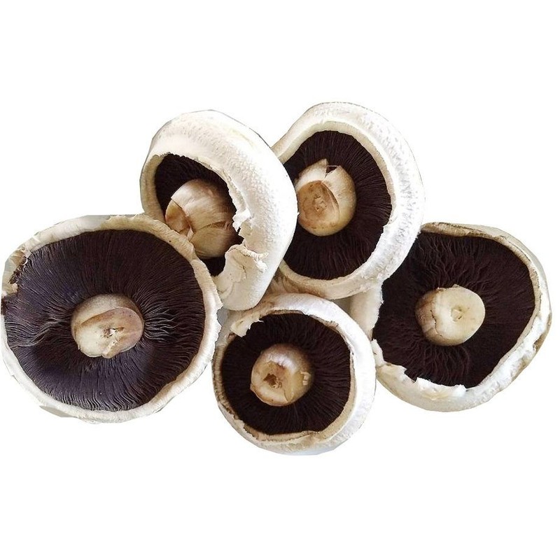 Pieczarki  grillowe XL grzyby świeże 500 g