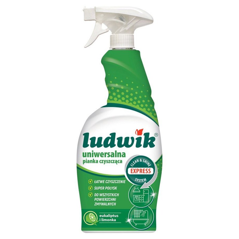 Płyn czyszczący all-purpose cleaner Ludwik 750 ml