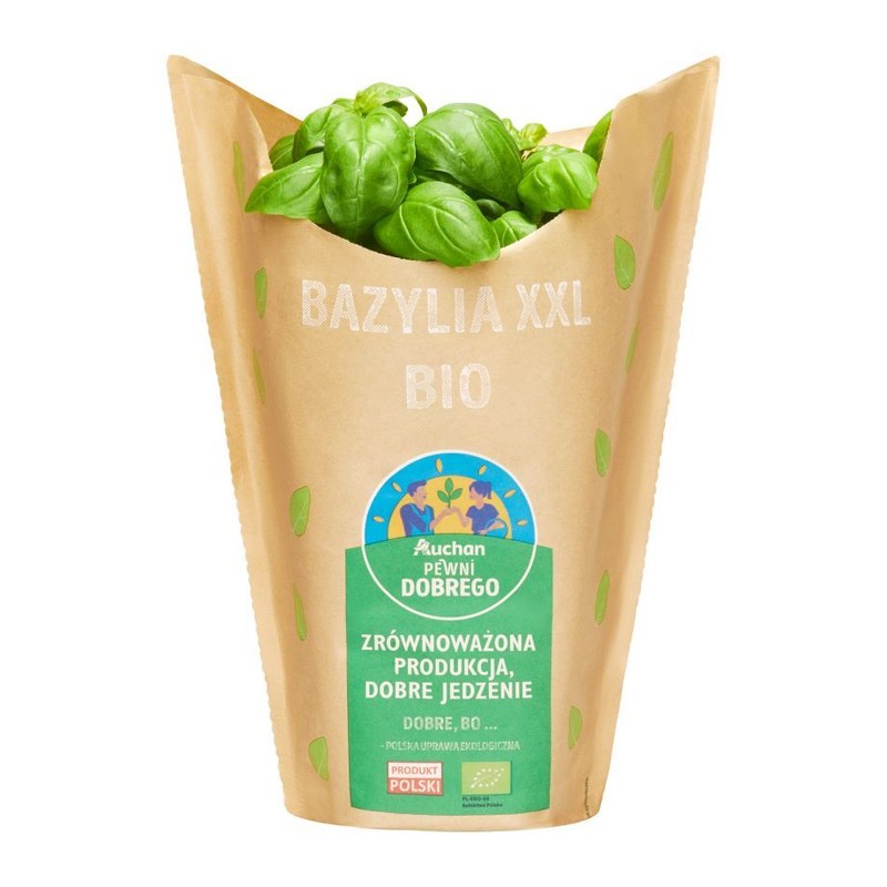 BIO Bazylia XXL Pewni Dobrego sztuka