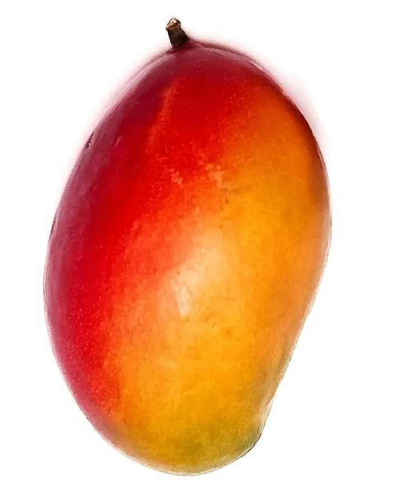 MANGO SZTUKA