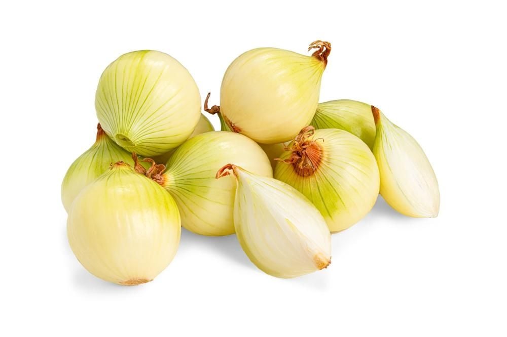 CEBULA OBIERANA LUZ