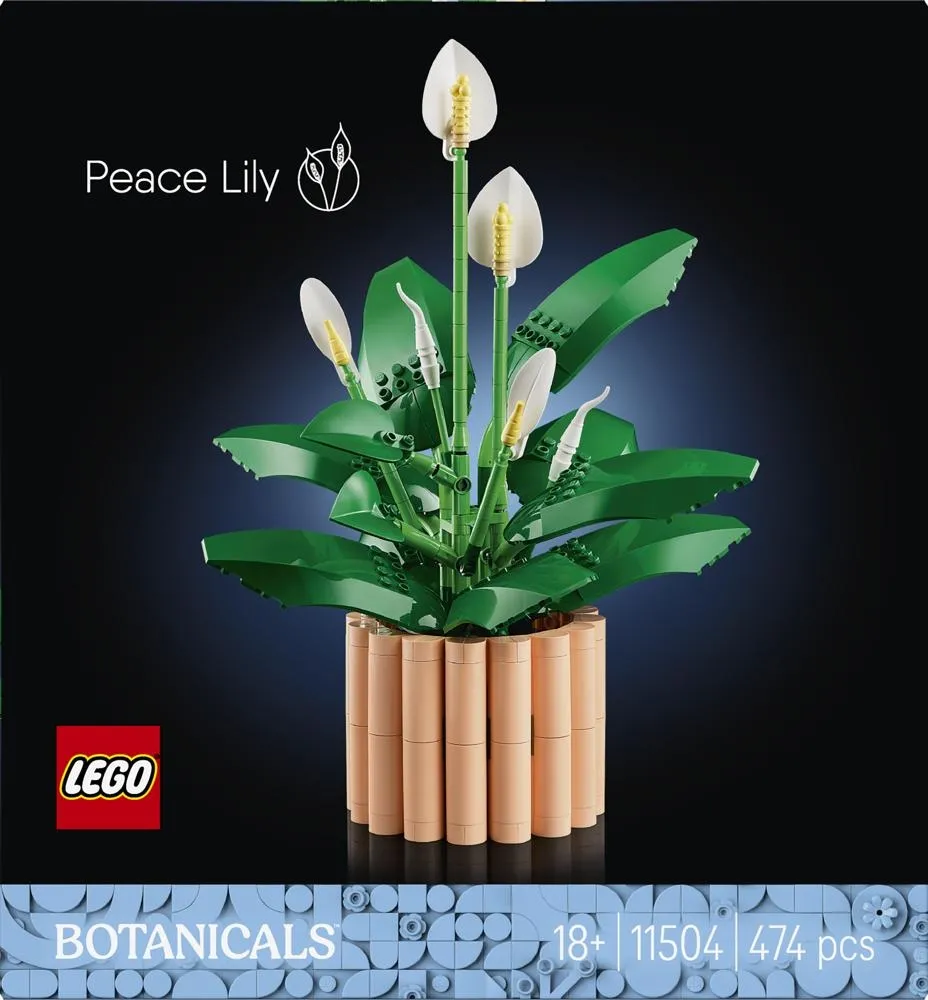 LEGO Botanicals Skrzydłokwiat 11504, kwiatowa dekoracja