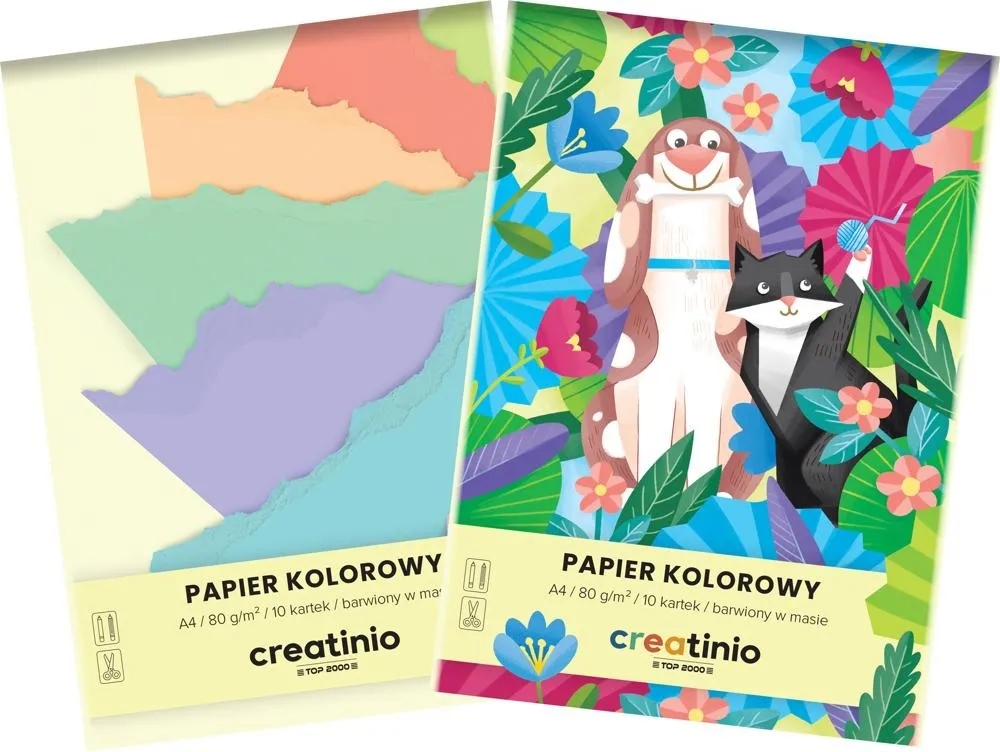 Papier kolorowy TOP 2000 Creatinio A4 10 kartek 80g