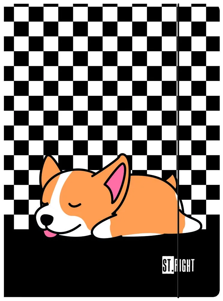 St.Right teczka z gumką A4 (Chessboard, Corgi Dog)