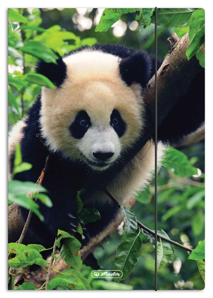 Teczka rysunkowa  Herlitz A4  z gumką Animals