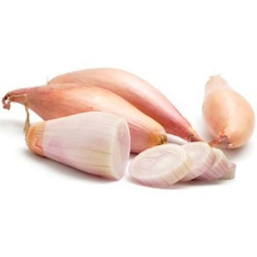 Cebula szalotka