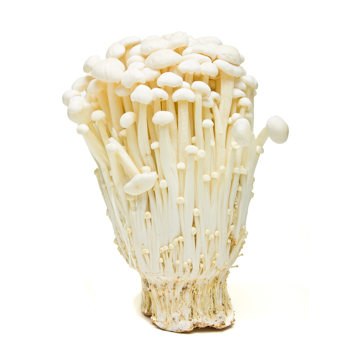 Grzyby Enoki