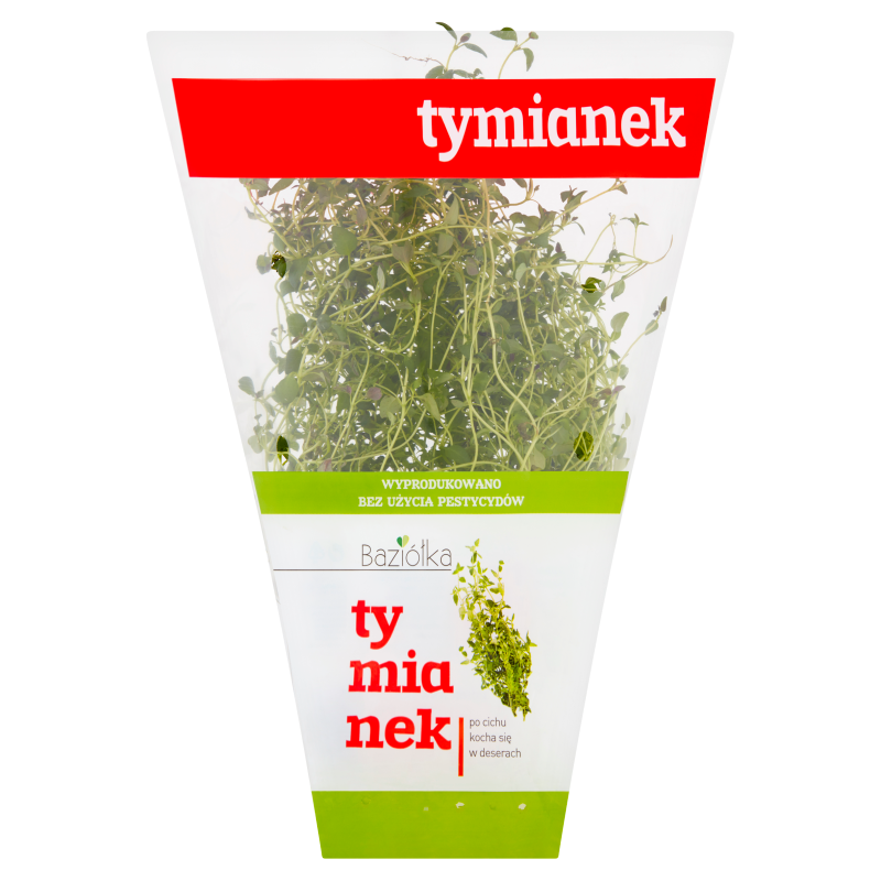 Tymianek