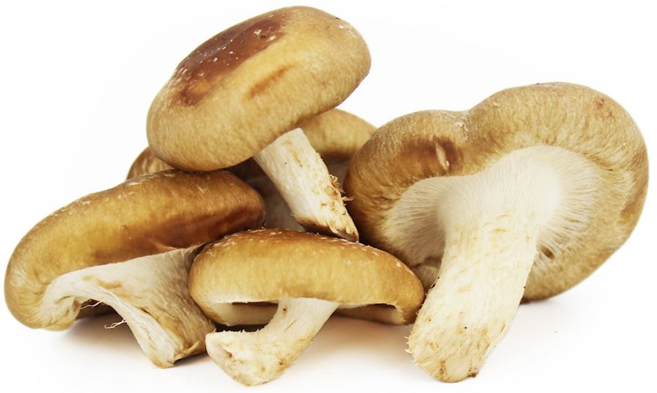 Grzyby Shitake BIO