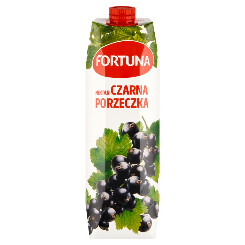 Nektar czarna porzeczka