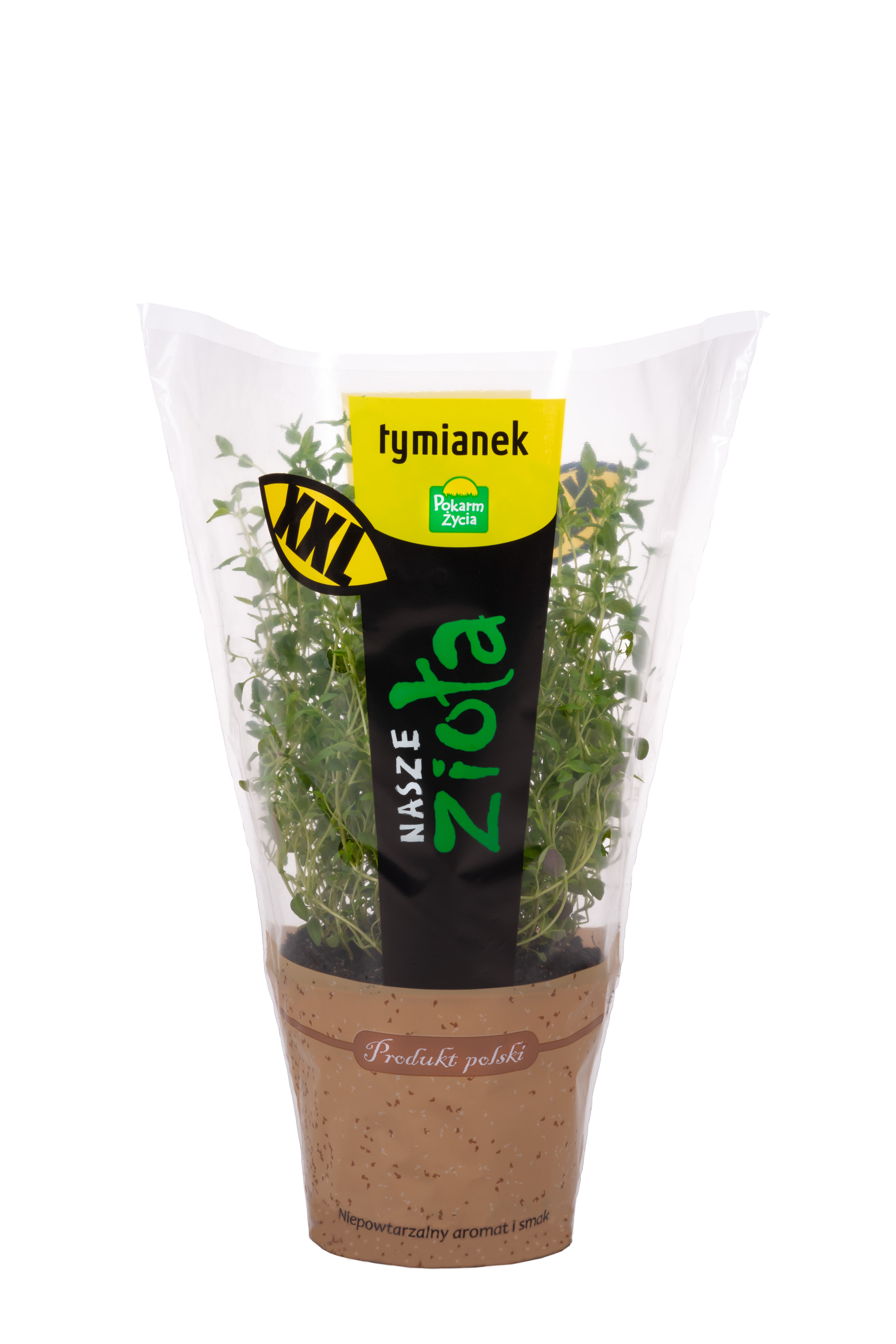 Tymianek XL