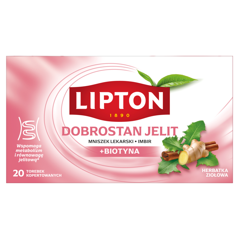 Herbatka ziołowa DOBROSTAN JELIT z mniszkiem lekarskim i imbirem (20 tor. w kopertach)
