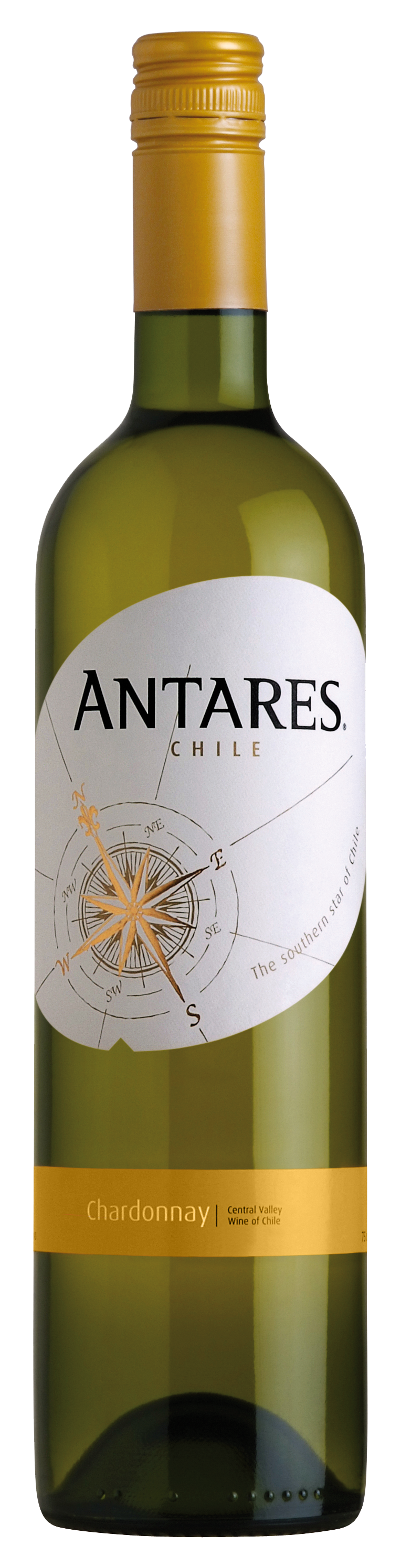 Chardonnay