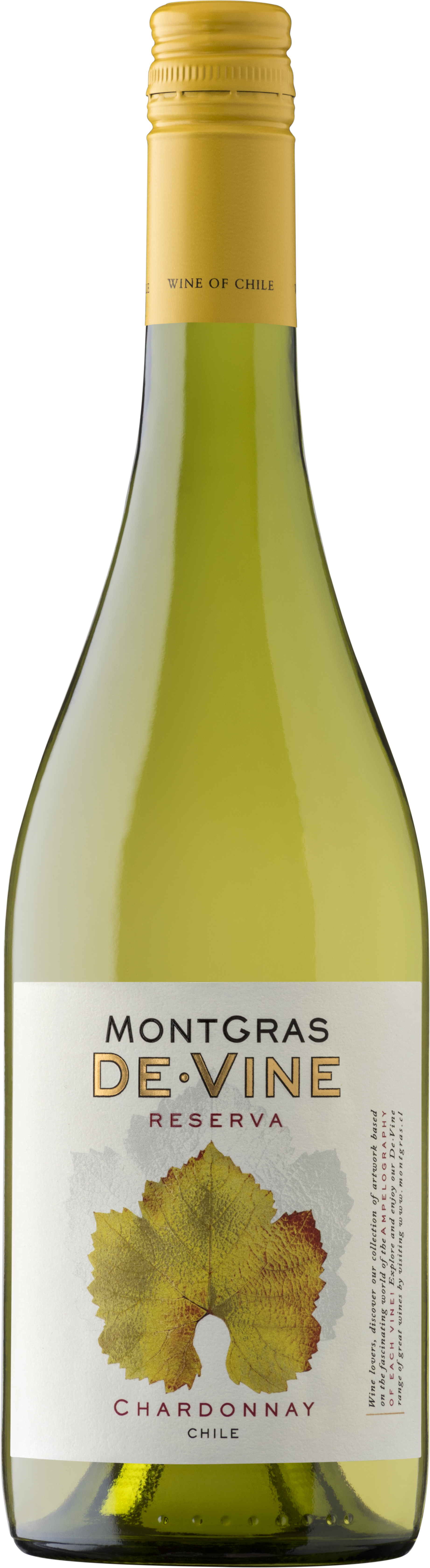 Chardonnay