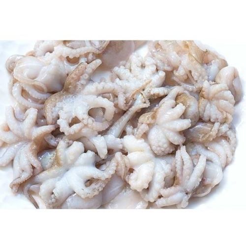 Ośmiorniczki Baby (6-8szt.) (175g-325g)