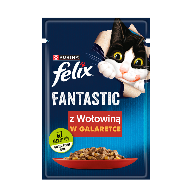 Karma dla kotów z wołowiną w galaretce