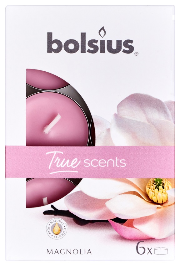 Podgrzewacz zapachowy Magnolia 6 szt.