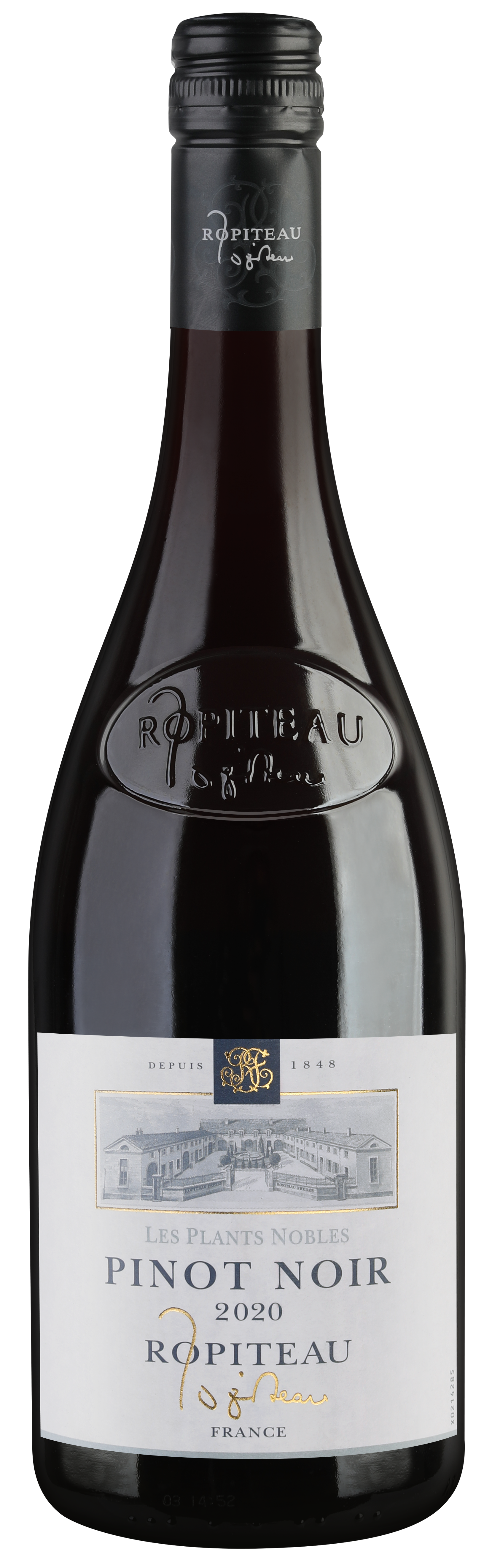 Pinot Noir