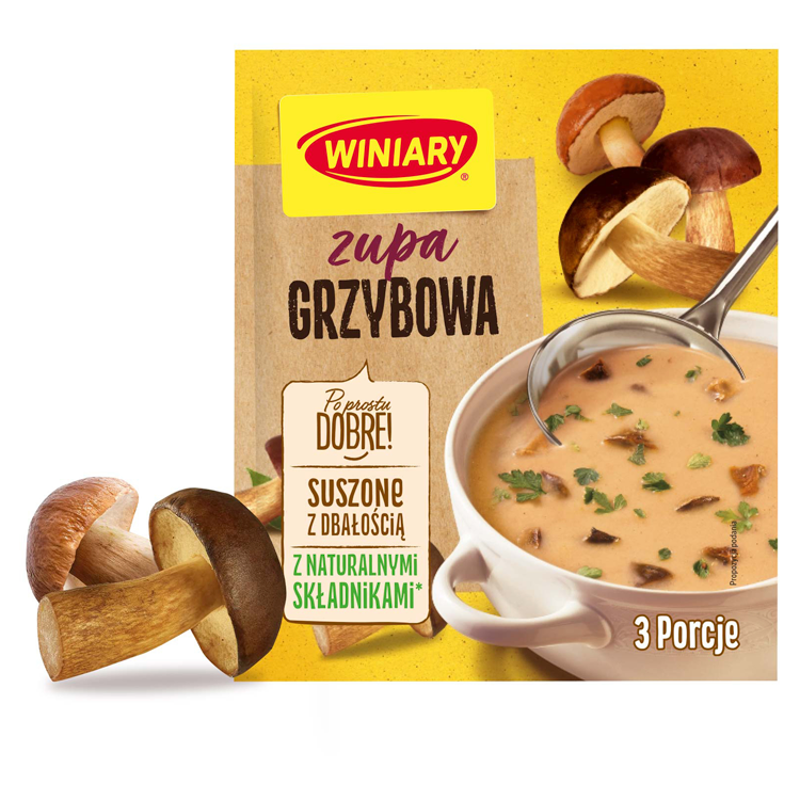 Zupa grzybowa (na 3 porcje)