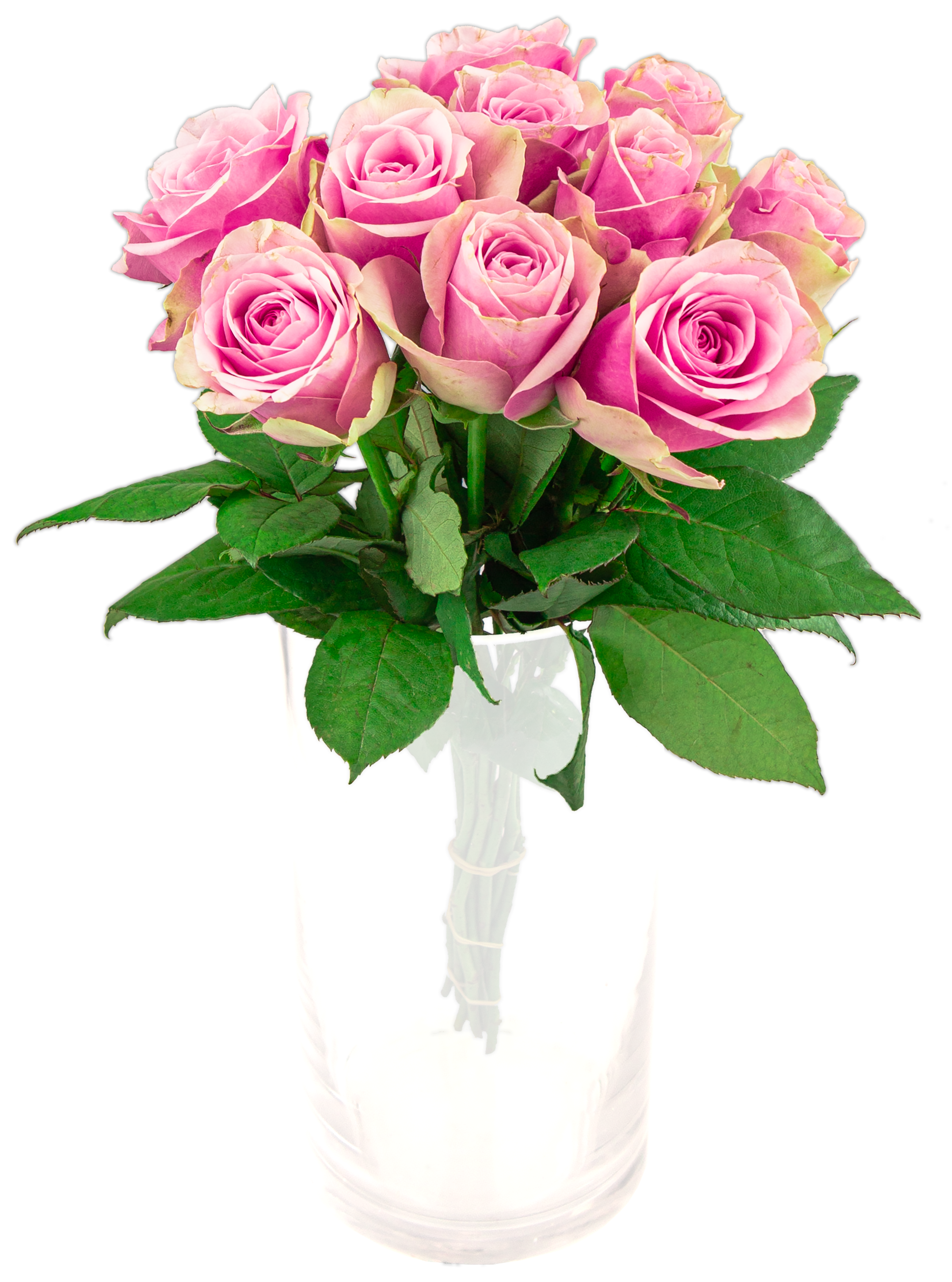 Róże Różowe 'Belle Rose' bukiet kwiatów x 10