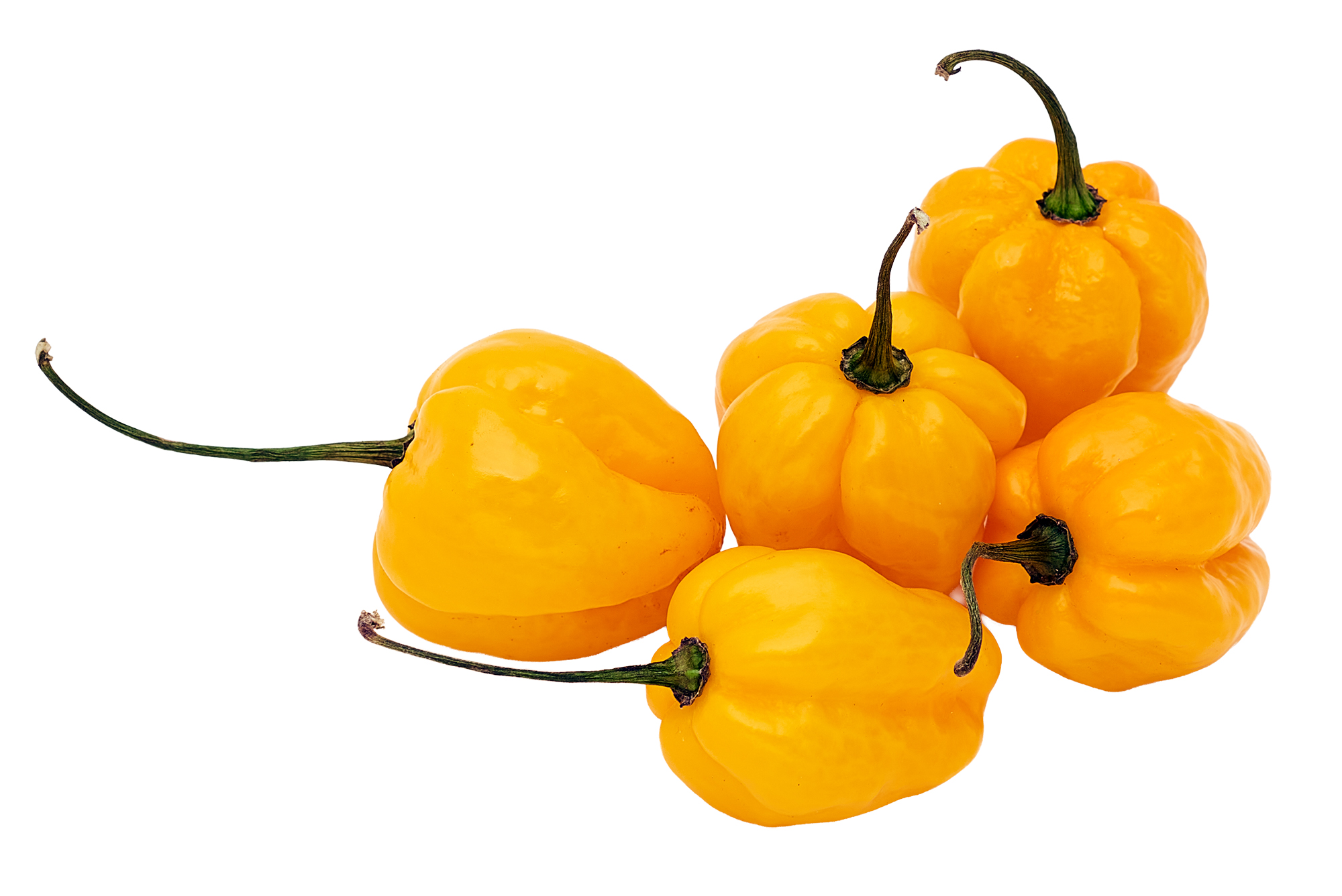Papryka Ostra Habanero Żółta Holandia 2Kg