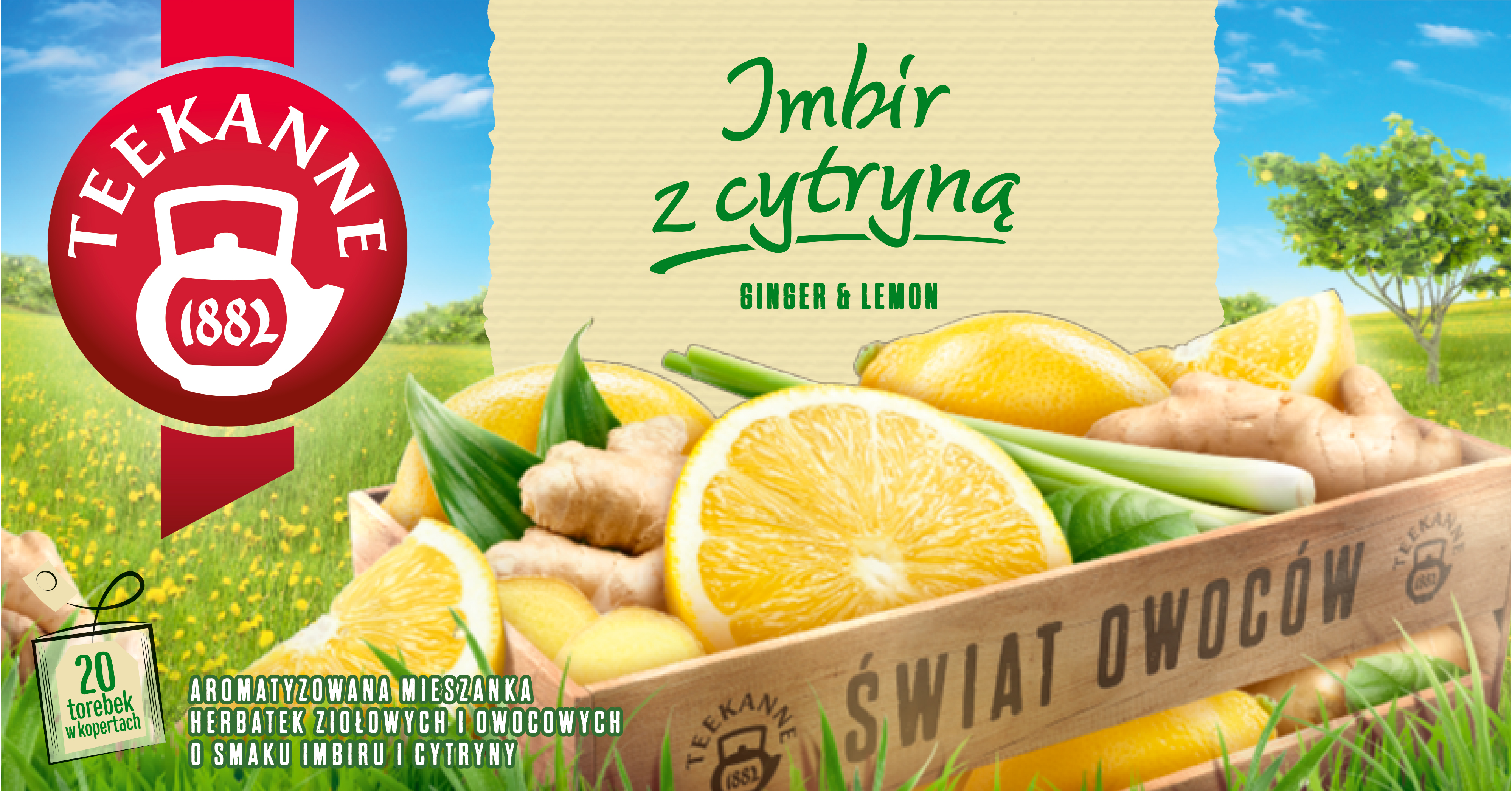 Herbatka Owocowo-Ziołowa Teekanne Imbir Z Cytryną 20 Torebek