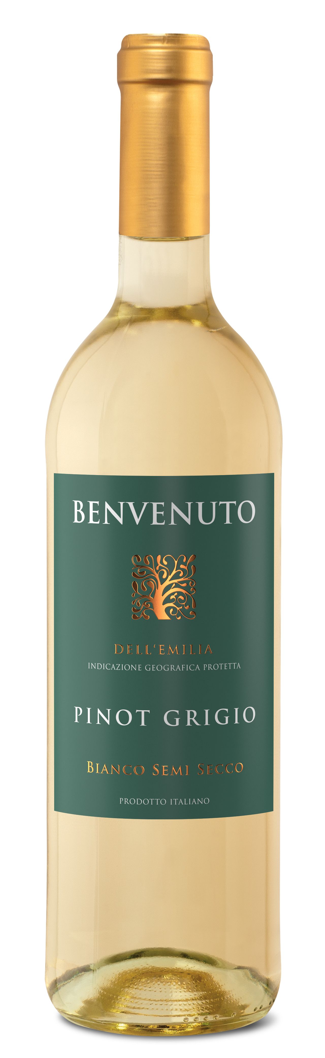 Benvenuto Pinot Grigio Włochy Białe Wino Półwytrawne 750 Ml