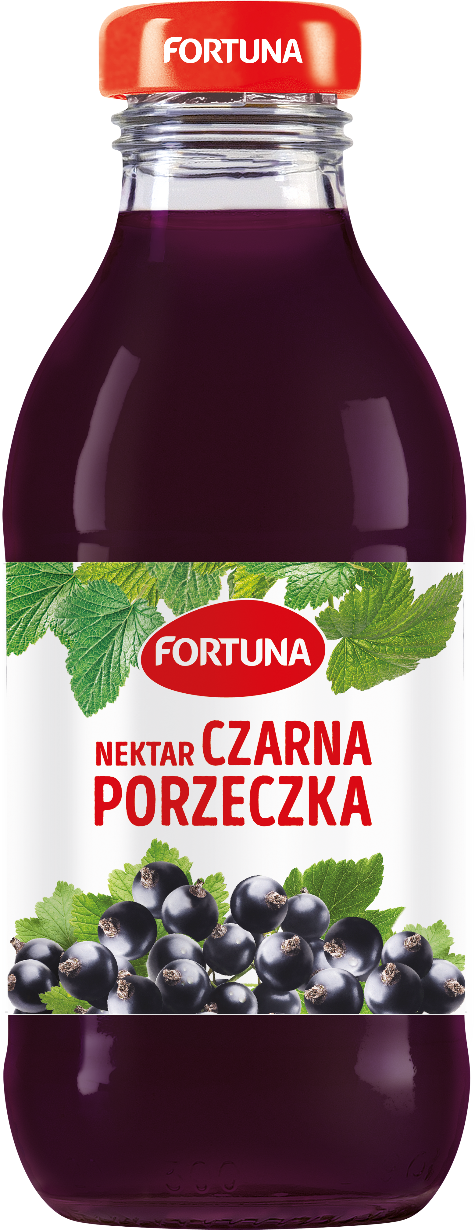 Fortuna Nektar Czarna Porzeczka 300 Ml