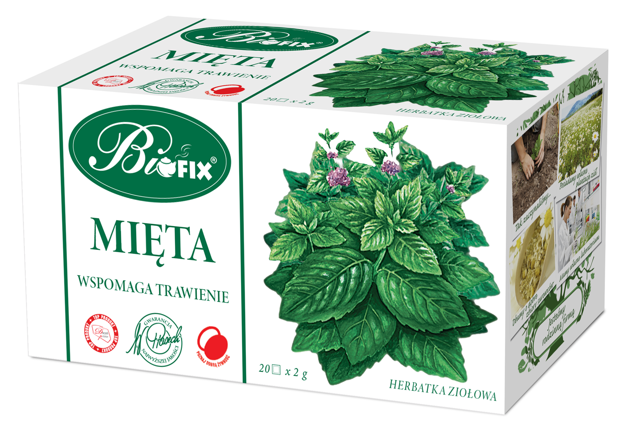 Bifix Mięta Herbatka Ziołowa Ekspresowa 20X2G