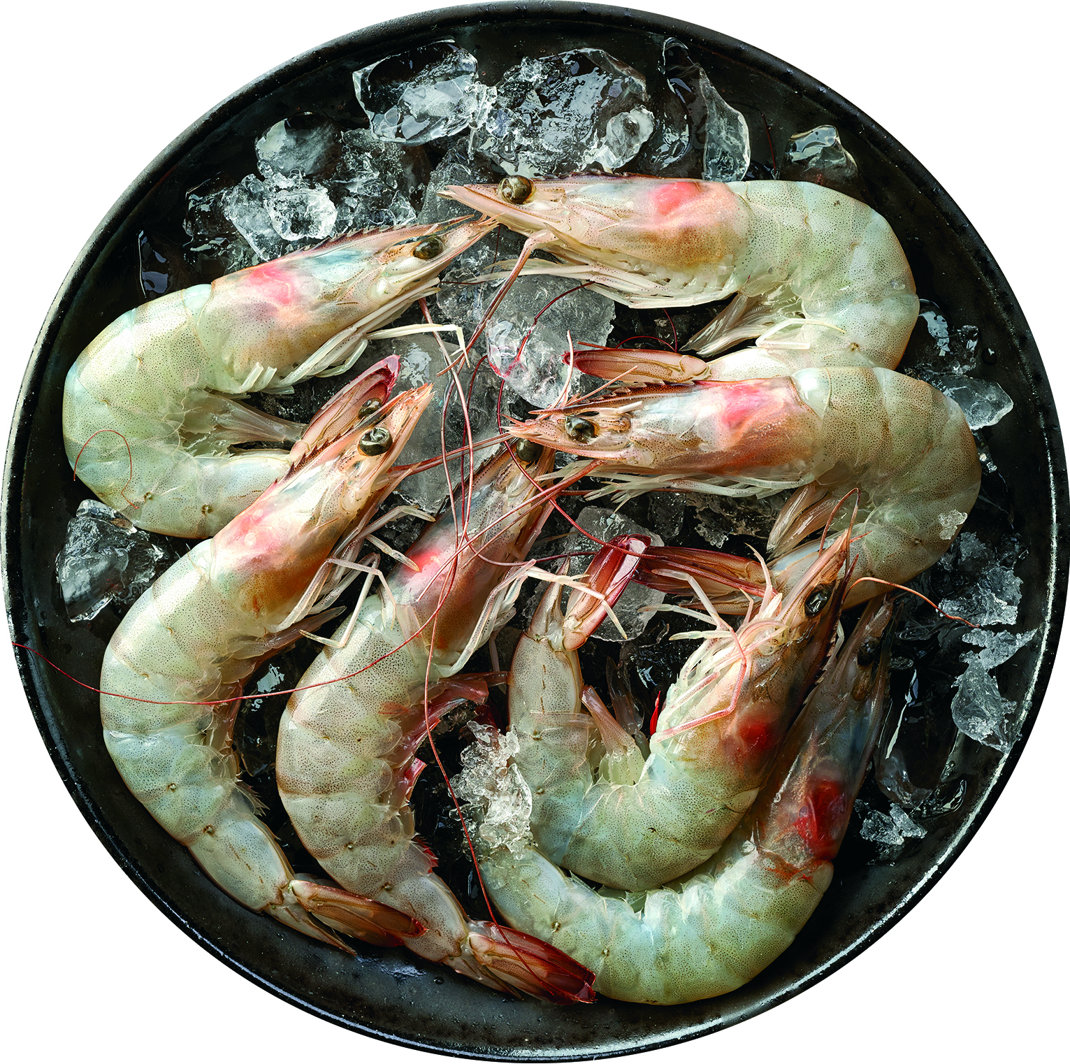 Krewetki Białe Surowe Całe 40-60Szt/Kg