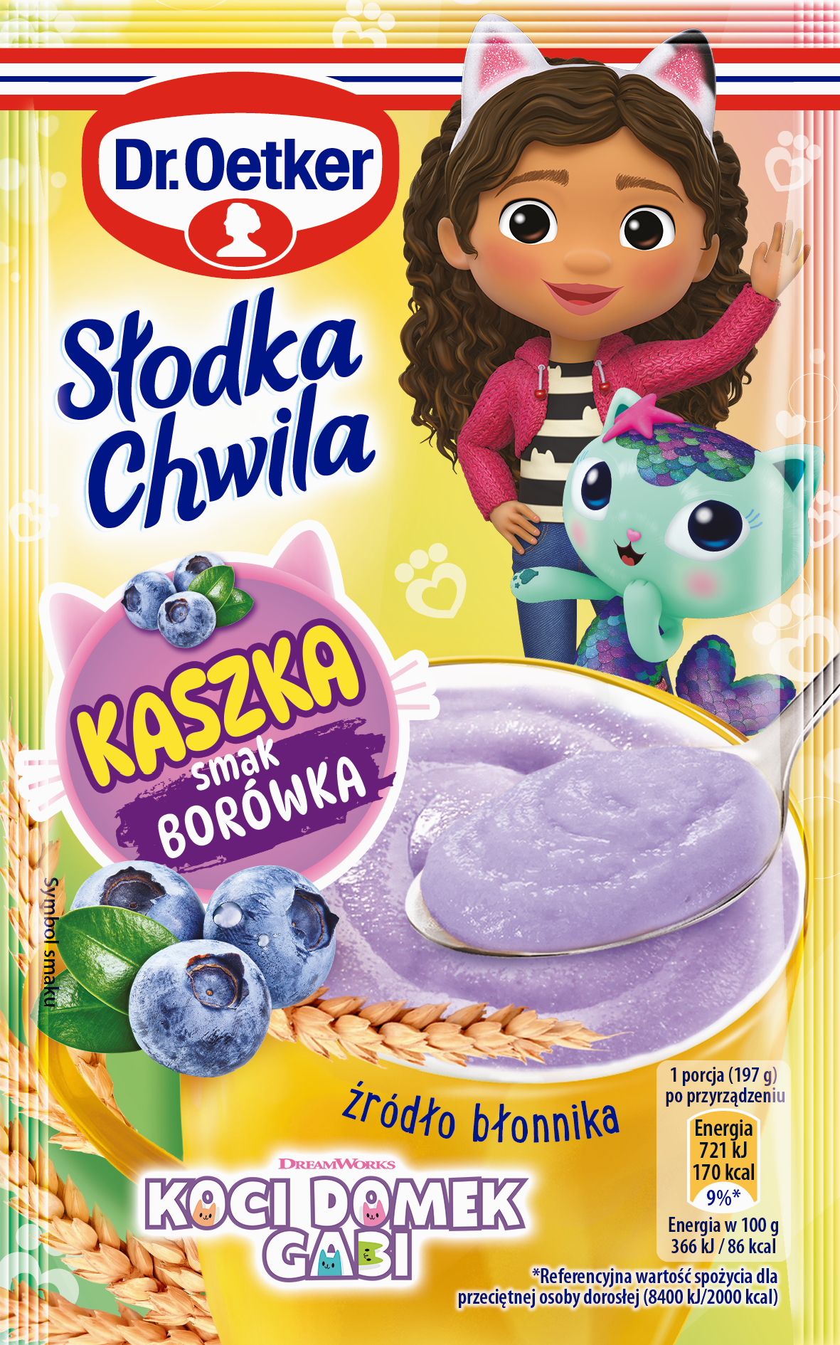 Dr. Oetker Słodka Chwila Gabi Kaszka Borówka 47 G
