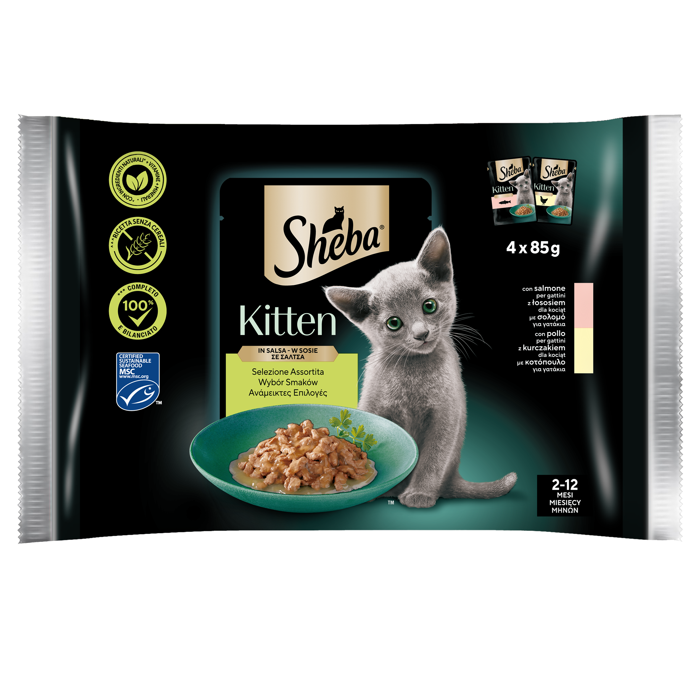 Sheba Kitten Mokra Karma Pełnoporcjowa Dla Kociąt Z Łososiem 4X 85G= 340G