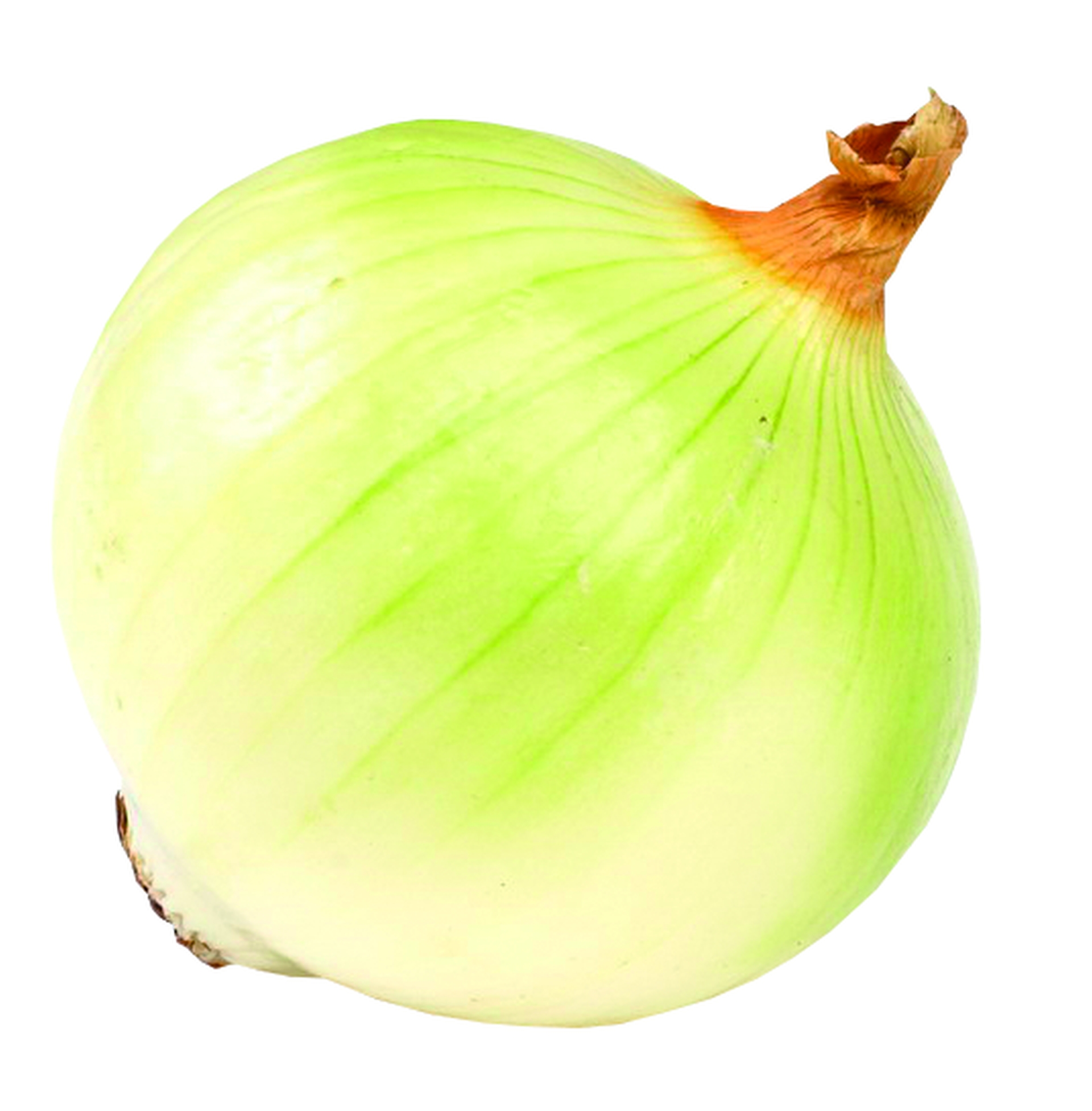 Cebula Wczesna Polska 5Kg
