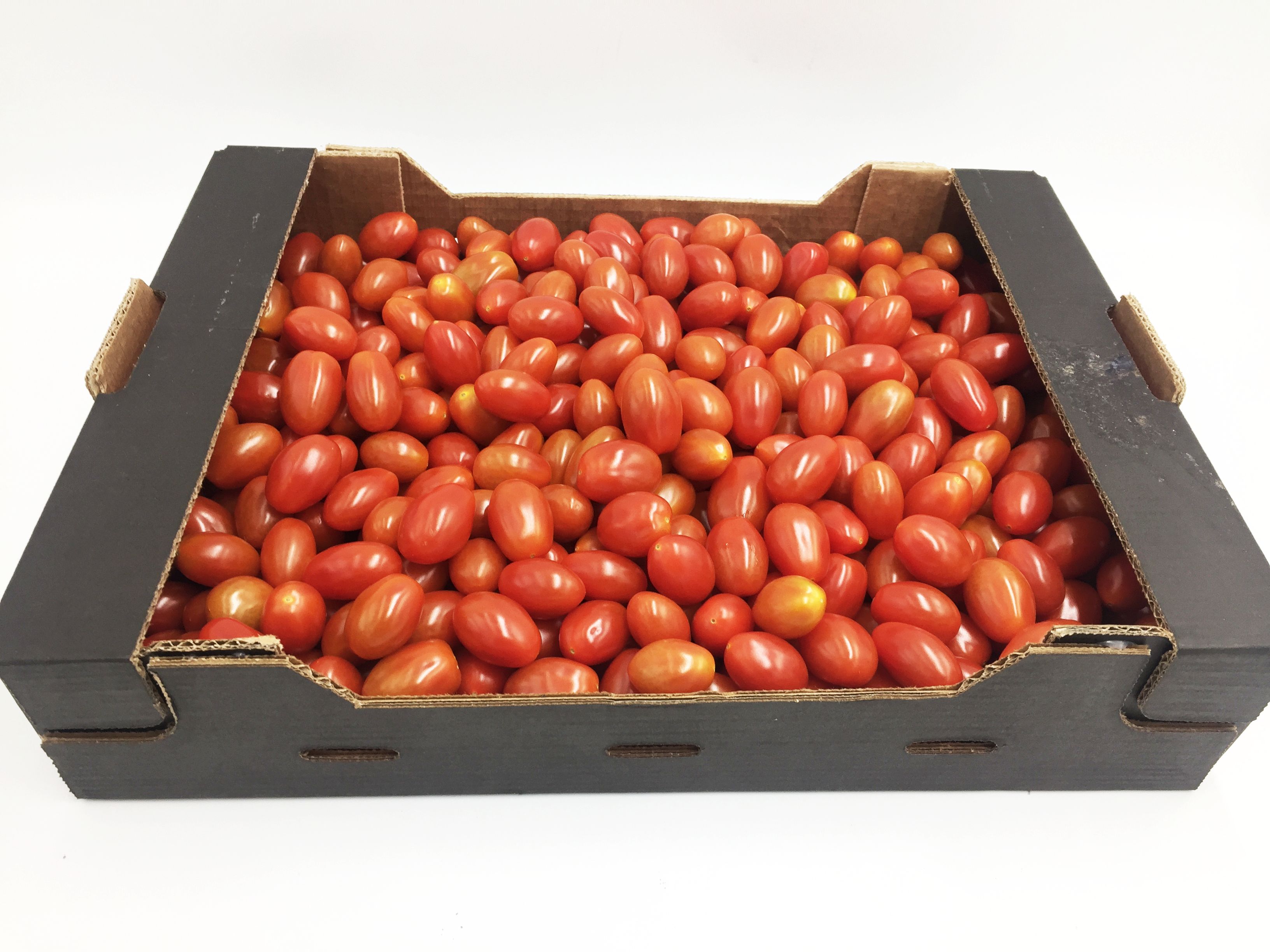 Pomidor Daktylowy Czerwony Klasa I Maroko 3Kg