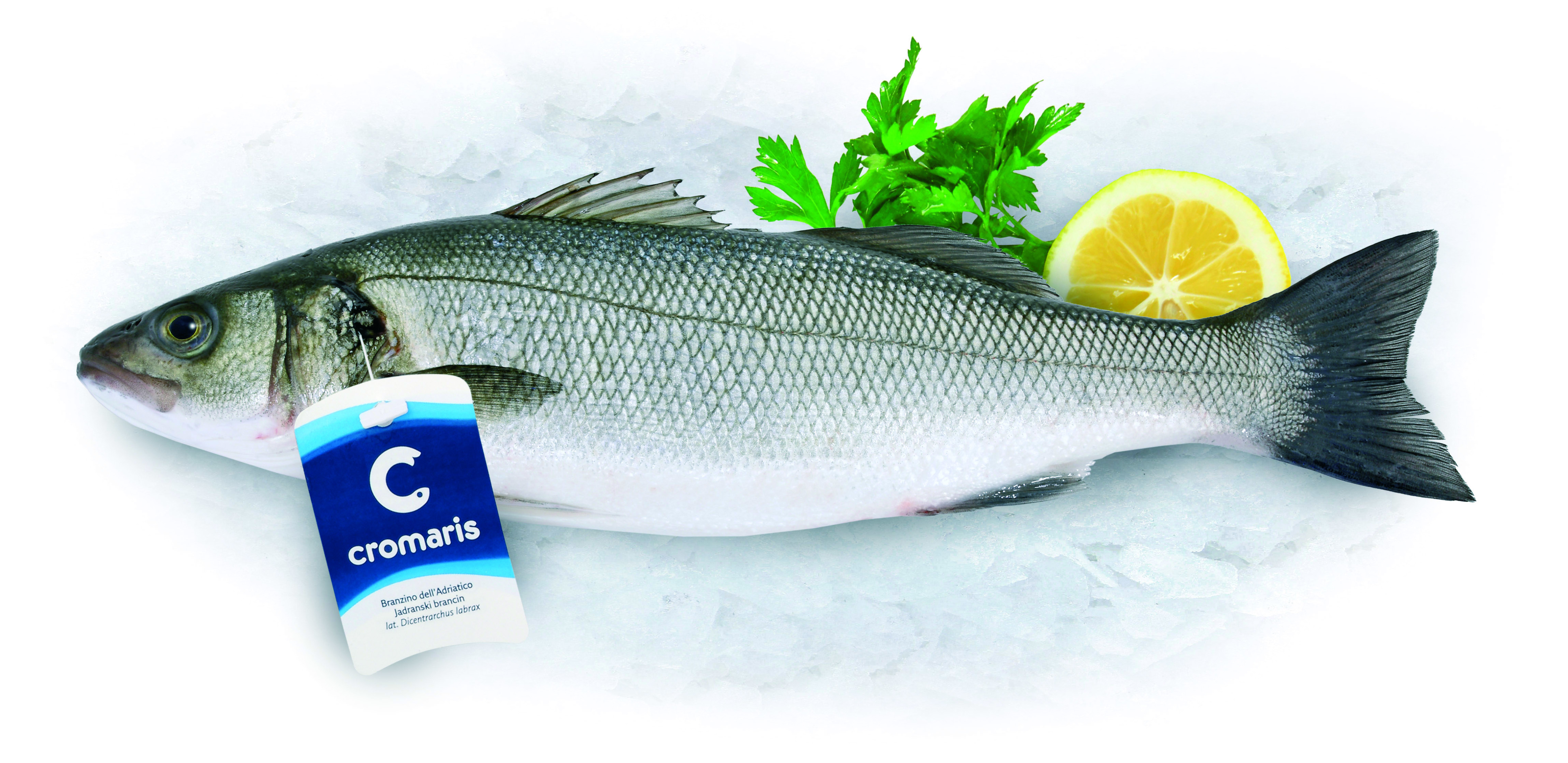 Labraks Patroszony 250-330G
