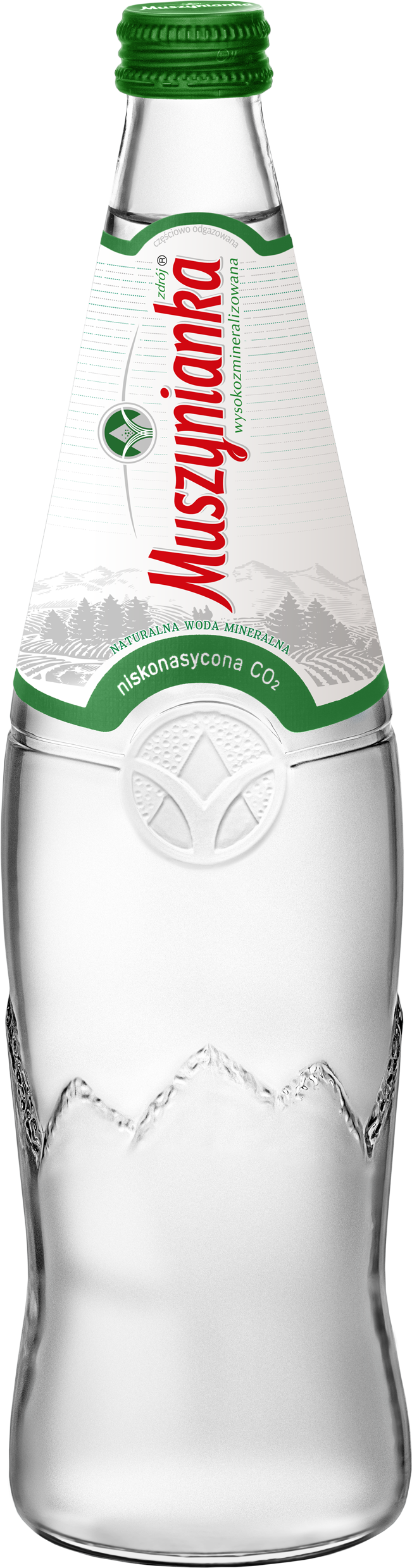 Muszynianka Naturalna Woda Mineralna Wysokozmineralizowana Niskonasycona Co2 0,7L