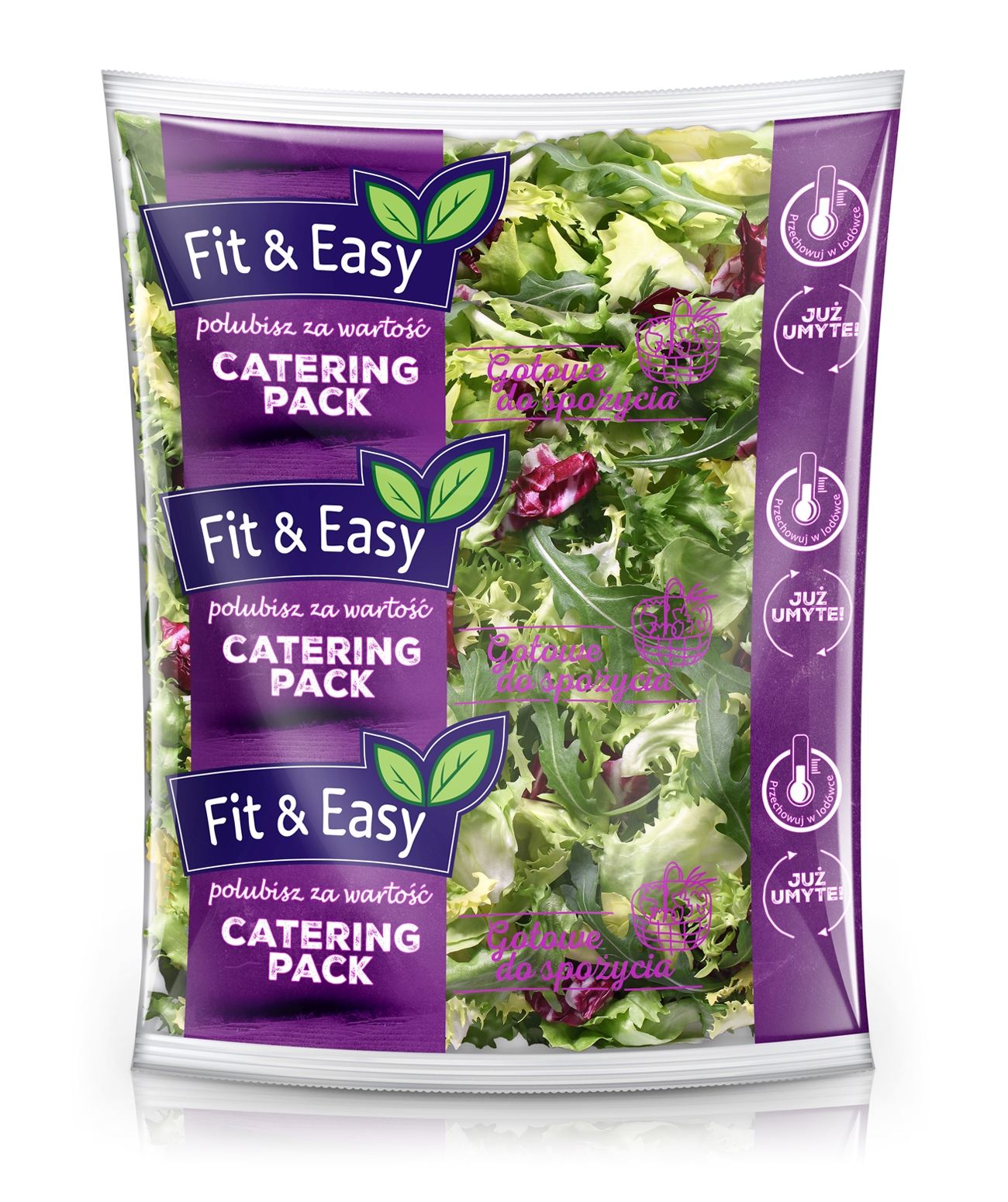 Fit & Easy Sałatka Active Catering 500G