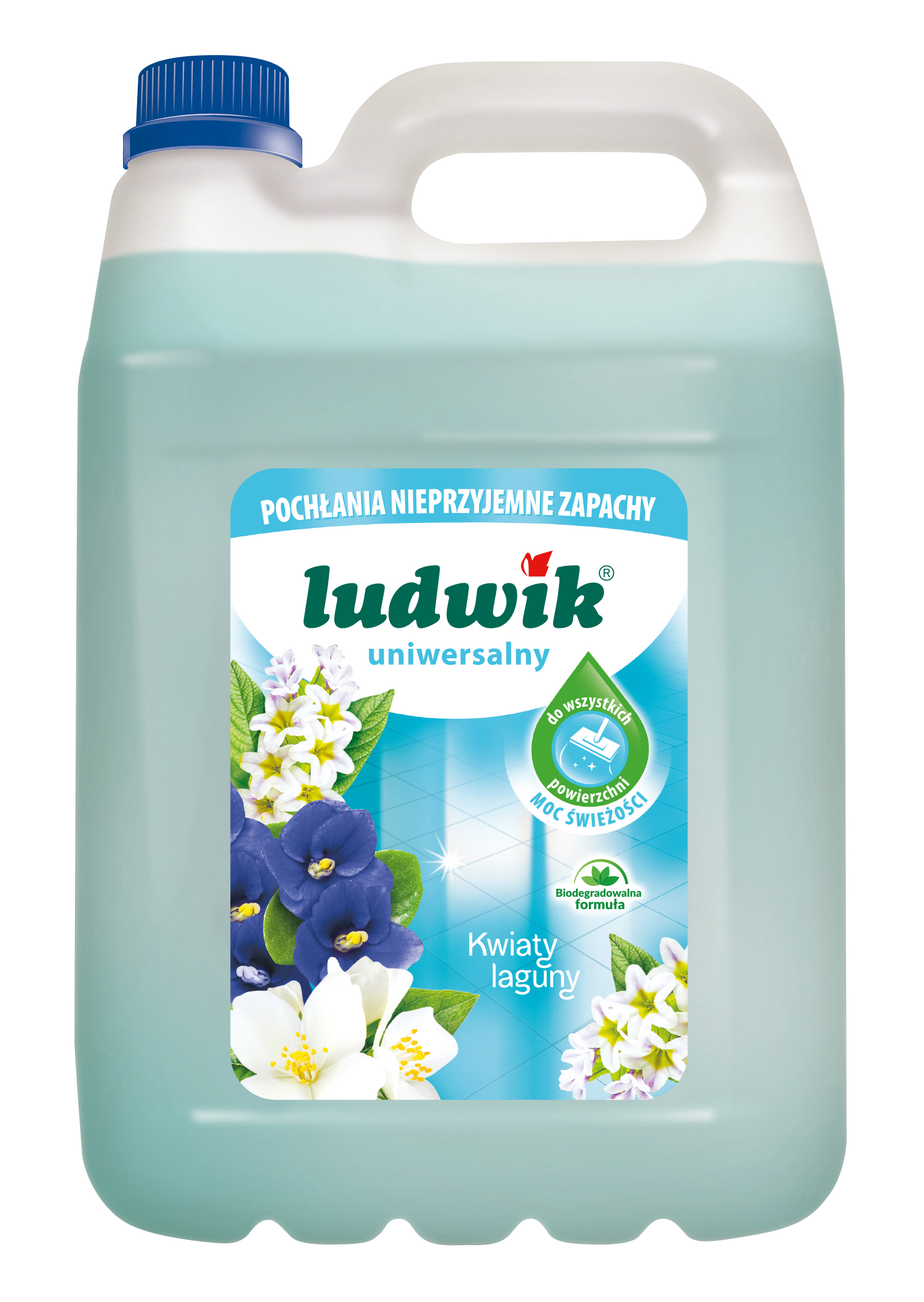 Ludwik Płyn Uniwersalny 5L - Kwiat Laguny