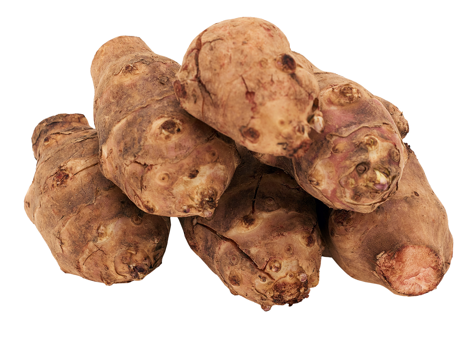 Topinambur Francja 5Kg