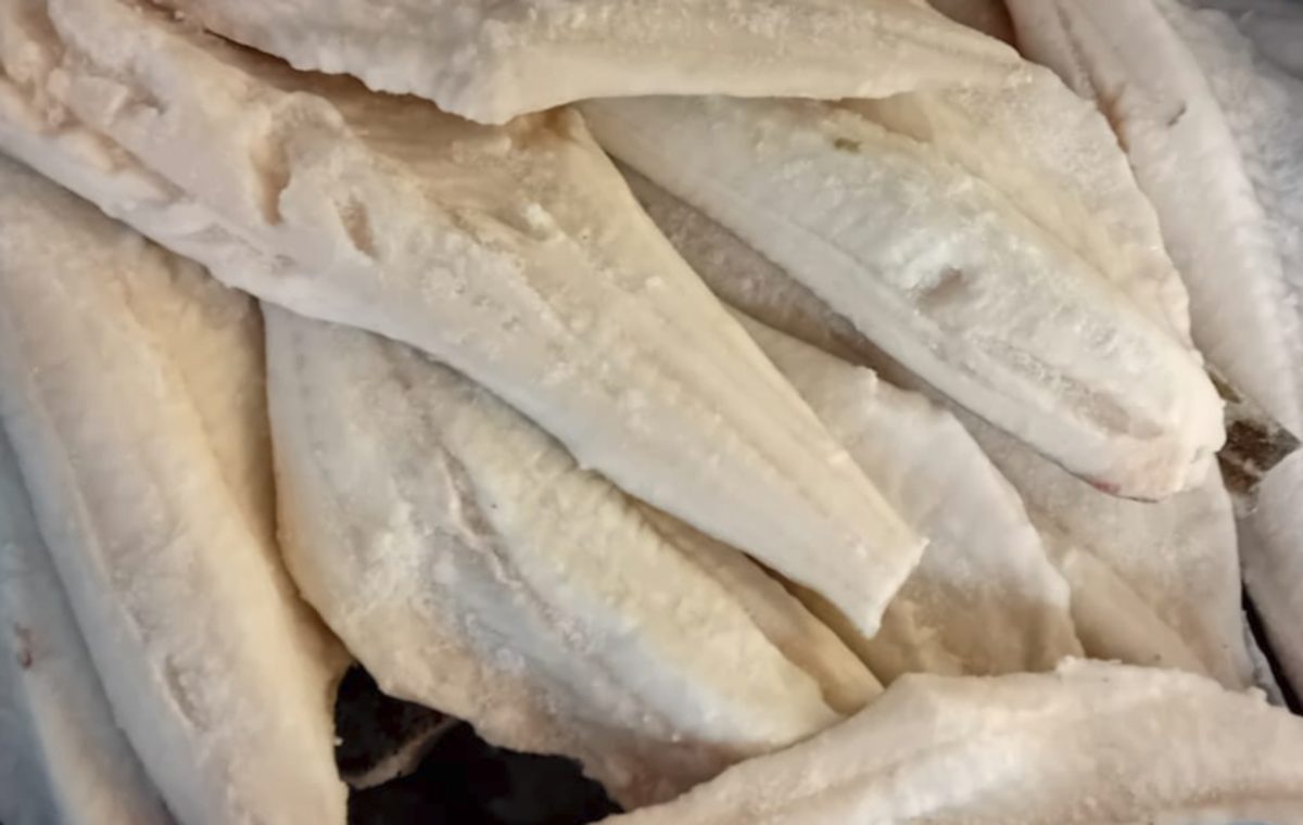 Koral Dorsz Atlantycki Filety Ze Skórą 10 Kg