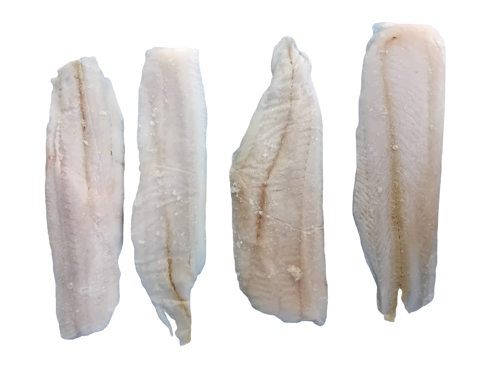 Koral Miruna Nowozelandzka Filet Bez Skóry, Głęboko Mrożone 6,8 Kg