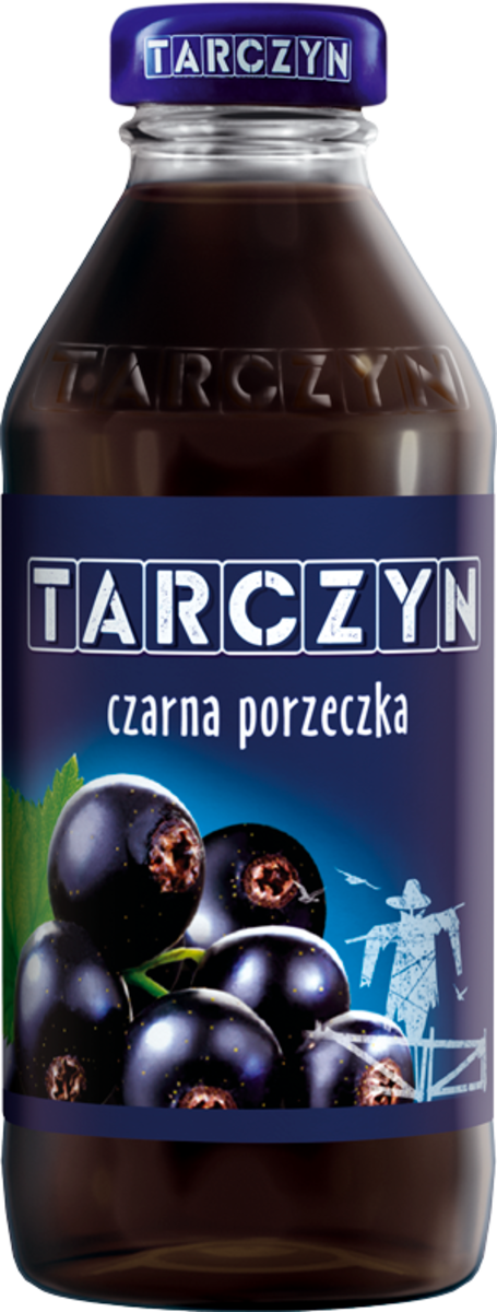 Tarczyn Nektar Czarna Porzeczka 300 Ml