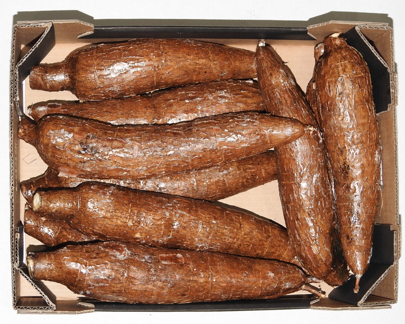 Maniok Kostaryka 6Kg