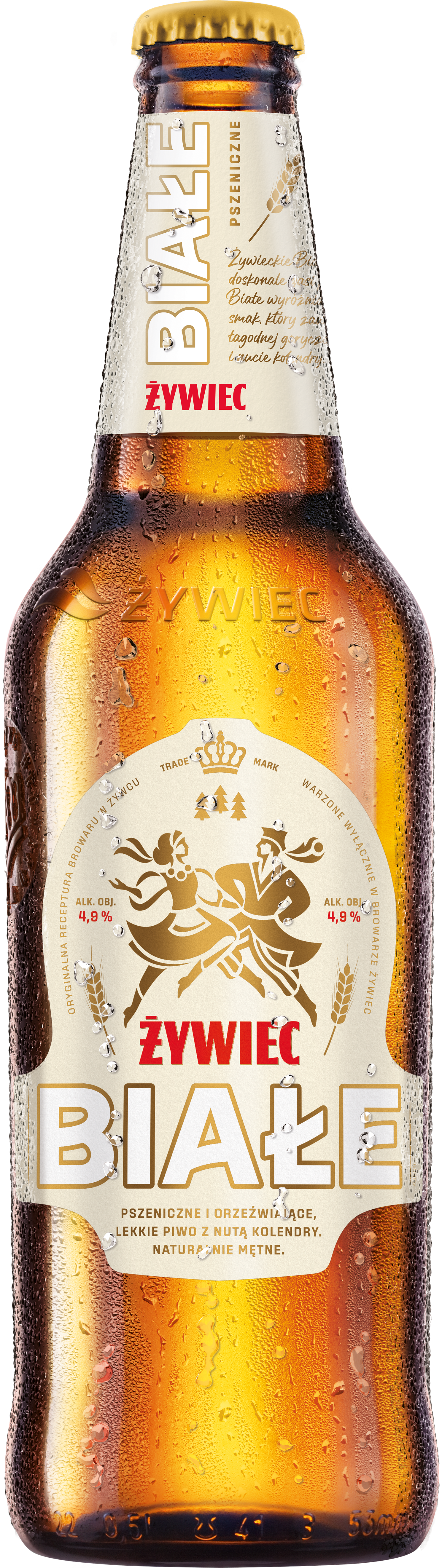 Żywiec Białe Piwo Pszeniczne 500 Ml Karton Butelka Zwrotna
