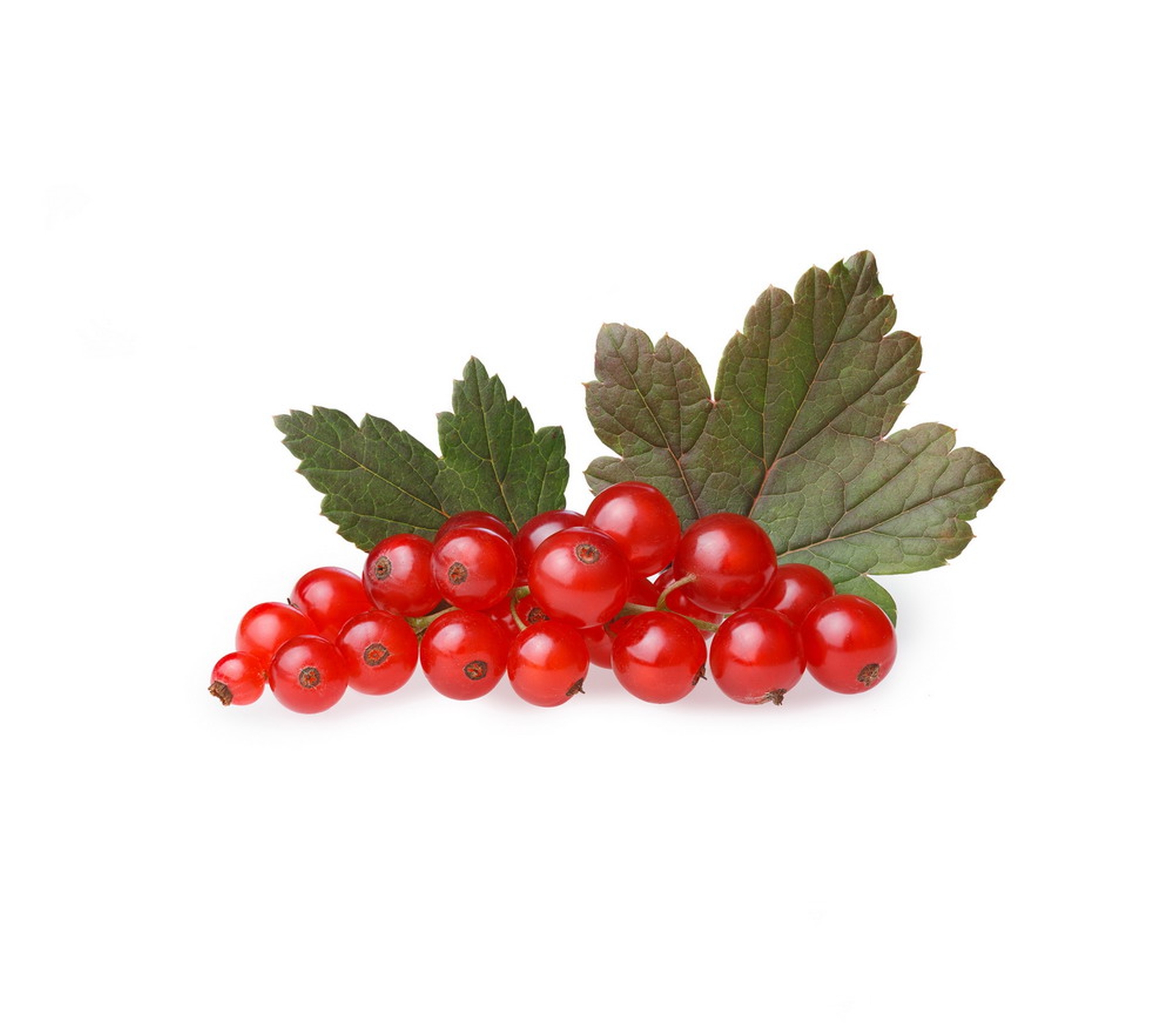 Porzeczka Czerwona Polska 250G